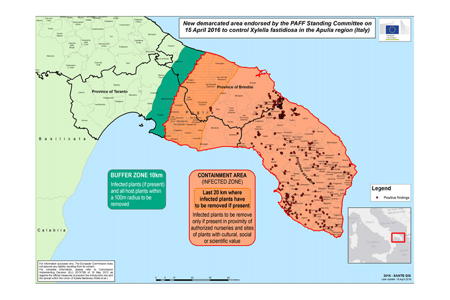 New demarcated area to control X. fastidiosa in the Apulia Region