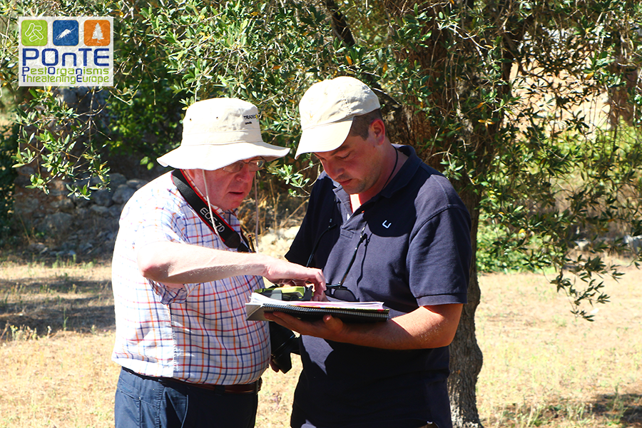 Dr. Navas-Cortés and Dr. Montes-Borrego (CSIC-IAS) during field monitoring in Salento, Apulia.