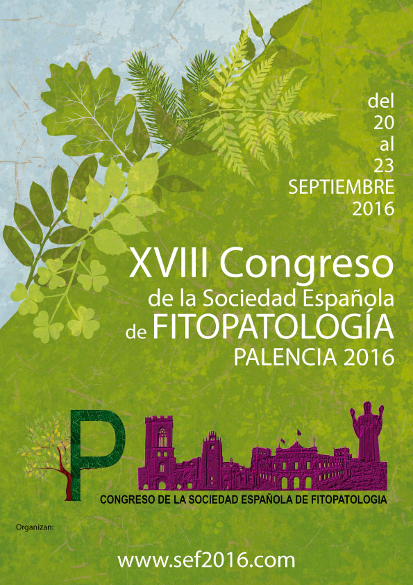 PALENCIA_CONGRESS