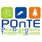 PONTE Official Logo