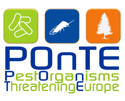 PONTE Official Logo