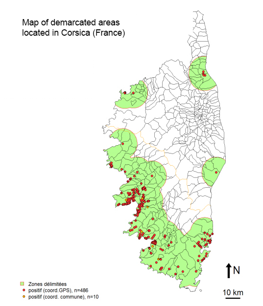 Corsica Xf demarcated areas