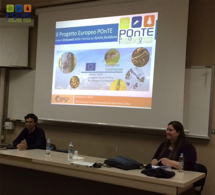 Dr. Morelli presents POnTE actvities